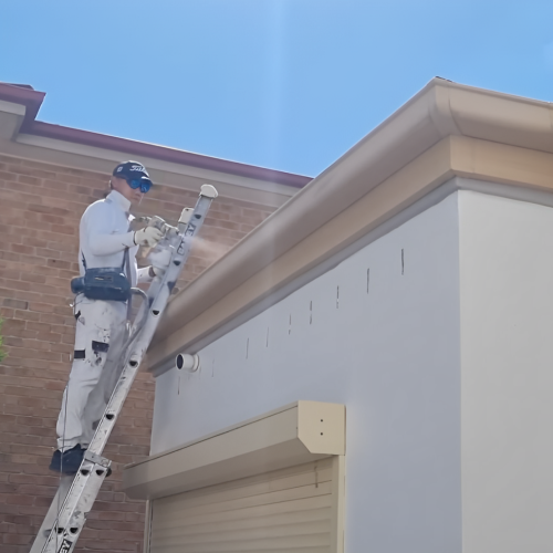 Residential Painting Job done in Castle Hill